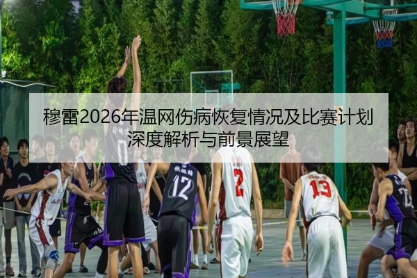 穆雷2026年温网伤病恢复情况及比赛计划深度解析与前景展望